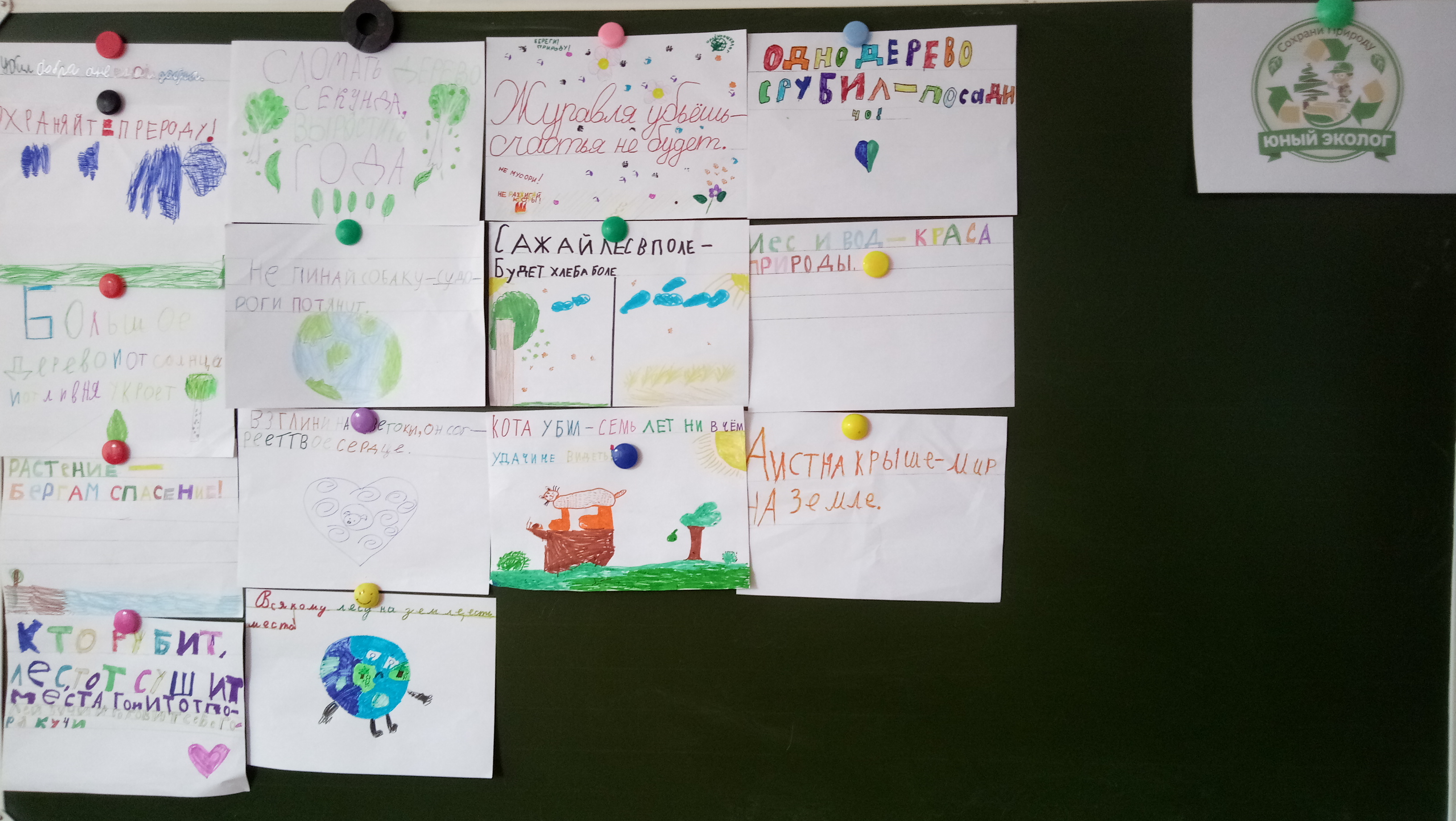 Пословицы и поговорки о природе.jpg